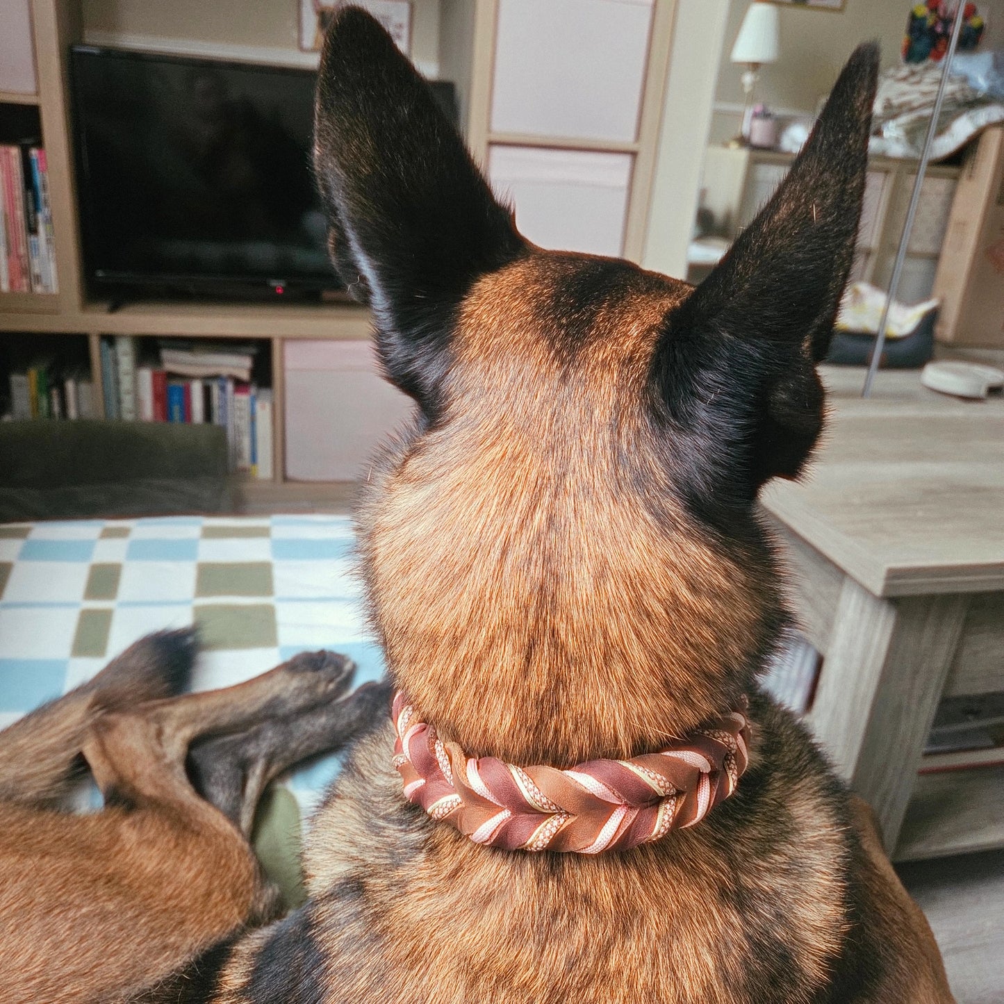 Collier tressé Golden pink