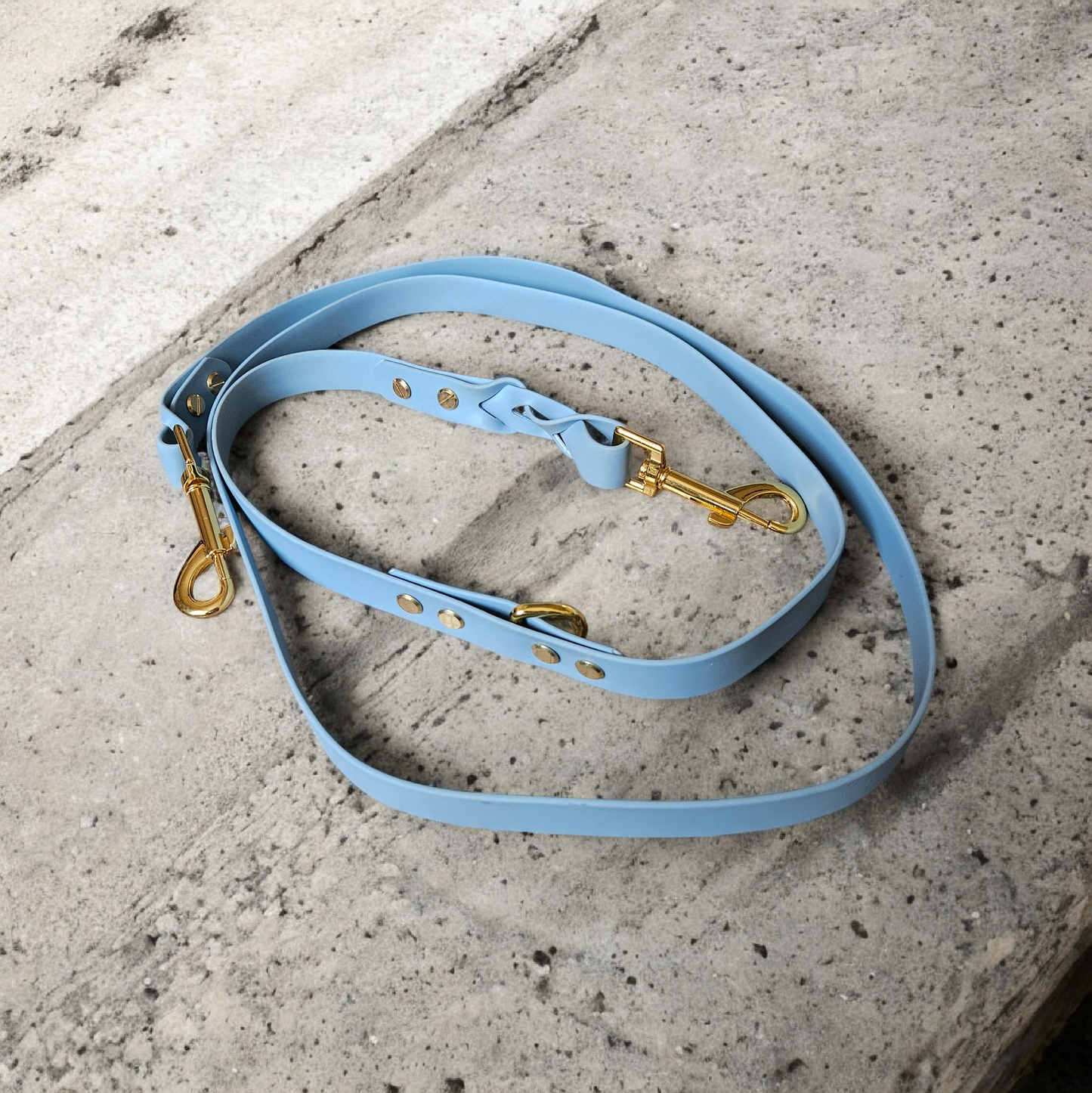 Laisse Blue Sky